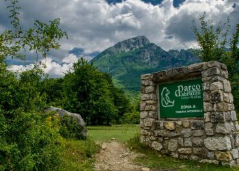 Pnalm, la tutela dell’ambiente in Costituzione