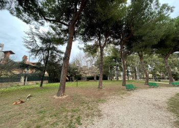 Il Comune di Giulianova aderisce al progetto “Sport nei Parchi” con i parchi comunali Franchi e Cerasari