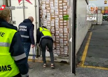 Sottoscritto protocollo d’intesa per verifica prodotti ittici provenienti da Paesi extra-UE