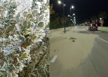 A Pescara le associazioni chiedono il ripristino delle siepi contro erosione e tempeste di sabbia