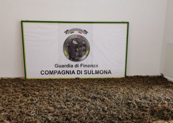 Sulmona: scoperta dalla Guardia di Finanza piantagione di marijuana