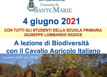 Sante Marie, alunni a lezione di biodiversità