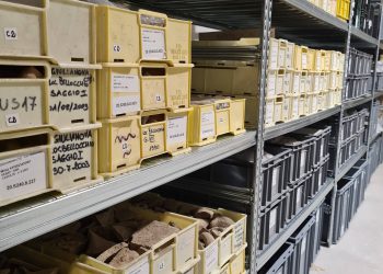 “Frammenti di anfore…frammenti di storie!”: domenica 20 giugno si inaugura il nuovo deposito archeologico di Giulianova