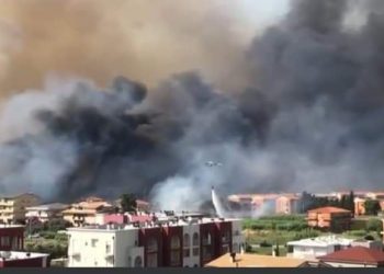 Incendi: Paolucci, “Bilancio terribile per nostro ambiente e Pescara che ha vissuto un giorno drammatico”