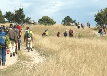 Tratturo Magno 4.0 – Rigenerazione di un territorio: Sabato 9 ottobre convegno presso la Sala Ipogea di Palazzo dell’Emiciclo