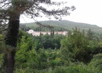 Aquilartes: finalmente, davanti al Trigramma bernardiniano, potremo dire “Vietato non toccare!”