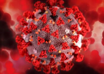 Coronavirus Abruzzo, dati aggiornati al 17 dicembre: oggi 439 nuovi positivi e 139 guariti