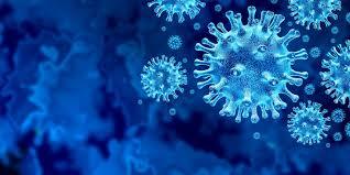 Covid-19: Università, in CDM deliberato obbligo vaccinale per tutto il personale