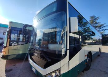 Covid, sui bus urbani dell’Aquila 4 controllori di Green pass