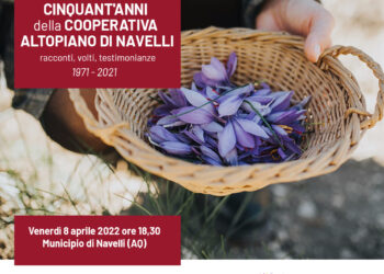 Zafferano, a Navelli presentazione del video “1971-2021 cinquant’anni della Cooperativa Altopiano di Navelli”