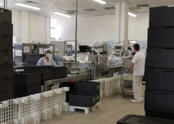 Settimana della Celiachia all’alberghiero dell’Aquila