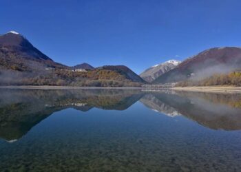 Il Parco Nazionale d’Abruzzo risponde alle polemiche sull’intervento nella pineta Zappini