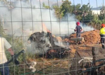 Incendio Paganica: raccolta fondi dell’Asbuc per allevatori e agricoltori che hanno subito danni