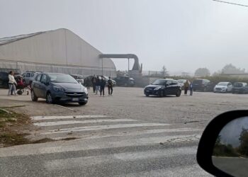 Inagibilità palestra scuola Paganica: Rotellini, “mi sto attivando per sentire uffici competenti”