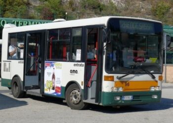 Trasporto Pubblico Locale: Ama ripristina corse bus notturni il giovedì e il sabato 