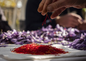 Autunno in Abruzzo: iniziative tra visite guidate e iniziative enogastronomiche