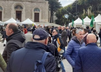 MarsicaLand conquista intero territorio, in tanti a piazza Risorgimento per mercato della terra