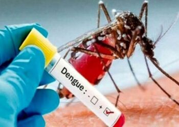 Sospetto caso Dengue a Civita D’Antino, attivati i protocolli precauzionali
