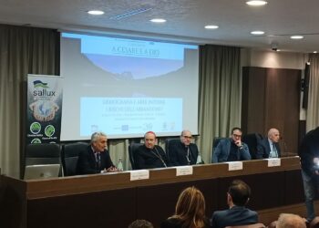Europa, Procaccini (FDI/ECR): “investimenti su famiglia e infrastrutture sfide strategiche”