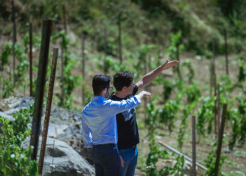 Prorogata scadenza bandi partecipazione percorsi accelerazione e creazione reti dedicati alle imprese territorio appenninico abruzzese