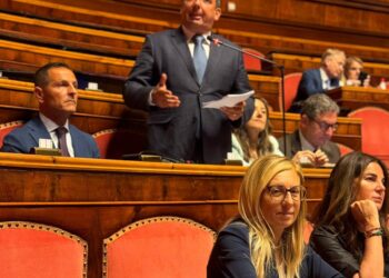 DL Casa: Sigismondi (FDI): non condono ma argine al consumo suolo