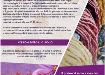 Corso di tintura naturale a Raiano