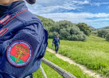 Utilizzo abusivo dell’acqua: Regione sottoscrive accordo operativo con Carabinieri Forestale