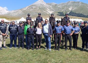 Rassegna Ovini 2024: grande partecipazione alla 64esima edizione