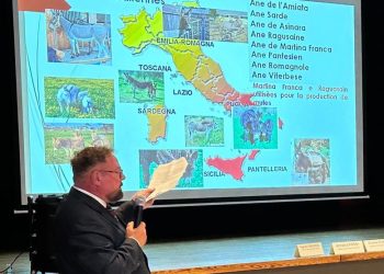 Medicina veterinaria Teramo agli stati generali in Franci