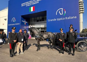 Successo per Netrix di Santa Rosa: cavallo Murgese dipartimento medicina veterinaria Teramo a Verona