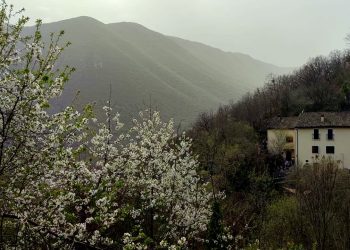 La Kap ETS, Festa di Tesseramento: una giornata dedicata all’arte, alla natura e alla comunità