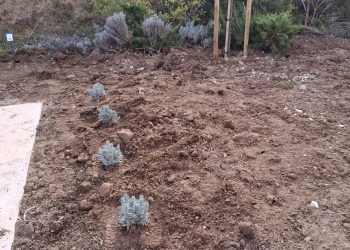  A Torrevecchia Teatina il 15 febbraio inaugurazione “Giardino di Roberta” dedicato ai malati oncologici