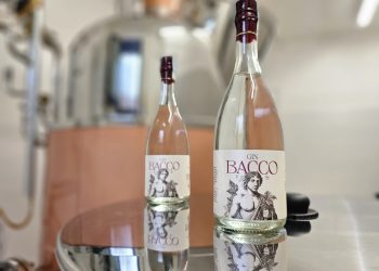 Nasce primo gin con vinacce Montepulciano d’Abruzzo: si chiamaBacco e ha finalità sociali