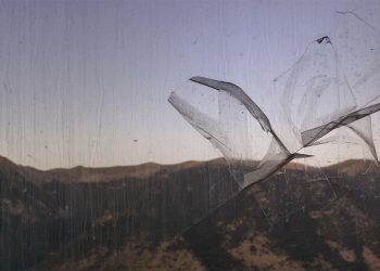  Al MAXXI L’Aquila due giorni di eventi dedicati alla Fotografia