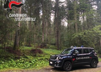  21 Marzo giornata internazionale Foreste: Carabinieri forestali inpegnati in tutta Italia attivià educazione ambientale