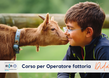 Arriva Nuova edizione del corso per Operatore di Fattoria Didattica