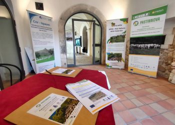 Pastinnova: Un Workshop Internazionale per Innovazione Sistemi Pastorali Mediterranei