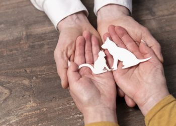 Garante animali d’Abruzzo: Sospiri approva l’avviso. Tra due settimane via alle candidature