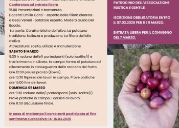 Officine Sperimentali e aziende del territorio raianese organizzano il primo Laboratorio teorico e pratico di potatura ulivi