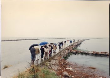 Al Maxxi L’Aquila proiezioni e curator’s tour per approfondire i contenuti di “Terreno”