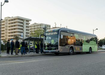 A una settimana da avvio nuovo servizio, ecco i numeri di Tua: fino a 4.800 passeggeri medi al giorno
