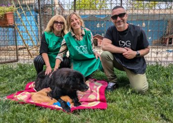 “Dog Village Montesilvano: priorità struttura comunale al benessere animale, pronti 5 nuovi Box e nuova cancellata”
