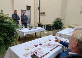 Parte dall’Aquila tour presentazione guida “Vini d’Abruzzo per Bevitori Curiosi”, domenica tappa ad Avezzano