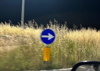 Mancato sfalcio erba: PD L’Aquila, “Biondi disinteressato a decoro città”