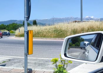 Pulizia Rotatorie: Taranta replica al Pd, “Quelle di competenza comunale sono curate e impeccabili”