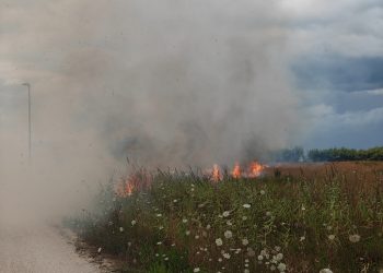 Incendio nella Riserva del Borsacchio: distrutti due ettari di vegetazione retrodunale