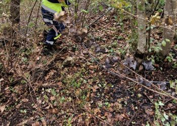 Incendio a Monte San Giuliano: domato il rogo, in corso la bonifica