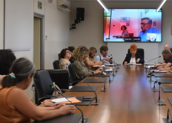 Comitato Legislazione: parere centri antiviolenza sulla normativa regionale tutela donne
