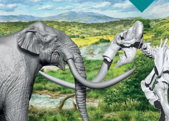“Il Mammut del Castello. Settant’anni dalla sua scoperta”: Presentazione Atti Convegno