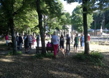Rotellini e Romano: Taglio alberisegnalato a Soprintendenza, Ministero, Regione e Procura